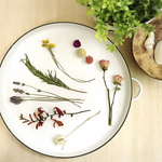 *おまかせ* M size - daily dry flower 【 送料無料 】 #509