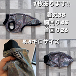 イタグレ服　イタグレの服