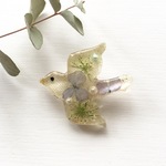 押し花鳥のブローチ  no.3