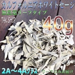 カルフォルニア ホワイトセージ リーフ40g 「2A〜4A」プレゼント付