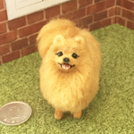 ミニチュアわんこ（ポメラニアン）