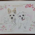 【yorihaha様オーダー品】愛犬イラスト