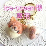 ice-ocean様専用