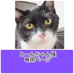 と～んちゃん様　専用ページ