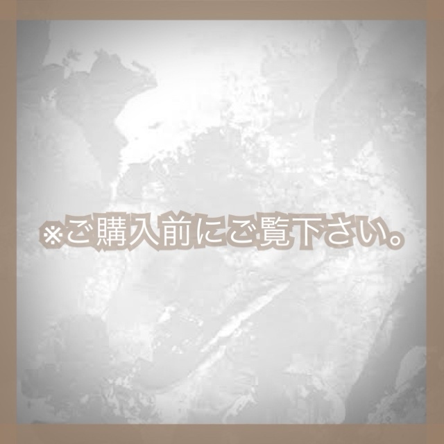 ※アクセサリーご購入前に一読お願いいたします。