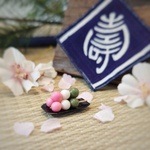 【ミニチュア】小さな三色団子