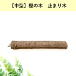 【小型インコ向け】自然木の止まり木