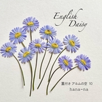 🎵English  Daisy "アルムの空" 茎付き10 ＊ 押し花