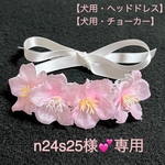 【犬用】犬チョーカー　犬ヘッドドレス　犬リボン　桜　犬誕生日　犬記念日　お花見　犬ヘアアクセサリー　ペットアクセサリー　犬セレモニー