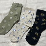 春のお得セット