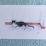 5枚組ポストカード（ねこセット）