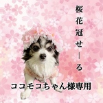 ココモコちゃん様専用