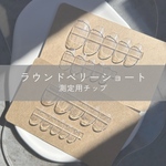 測定用チップ(ラウンドベリーショートタイプ)