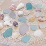 シーグラス＆シェル   60g　