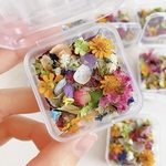  【数量限定】ミニドライフラワーミックス