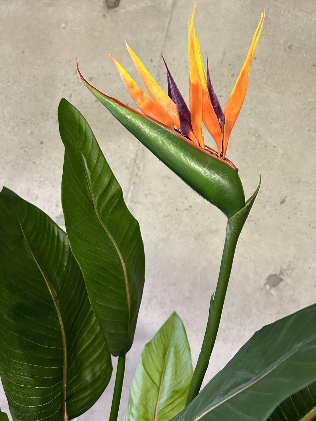 光触媒 人工観葉植物 ウォールグリーン フェイクグリーン ストレッチア