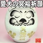 ワンちゃんだるま・立て耳メモリアルホワイト ｜ 高崎 だるま 達磨 置物 ダルマ daruma