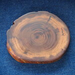 ★お試し販売-行者杉の枝で作った大きなコースター（年輪150年）12cm×10㎝