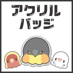 小鳥さんのアクリルバッジ(シロハラインコ)