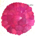 ♡new♡作家様必見♡ 花びらがいっぱい♡ 押し花セット