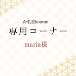 maria 様専用【白紙】命名書オーダー「祝い梅」A4サイズ