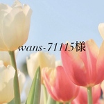 wans-71115様専用ページ