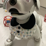 限定1点　aiboちゃんのツイードスタイ襟付き　カメリアボタン　aibo's speciallity tweed bibs