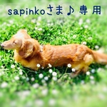 sapinkoさま♪専用