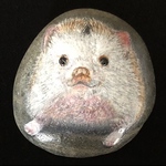 StoneHedge のんたん🦔と、お友達🦔🦔