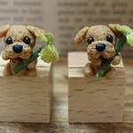 ワン（コ）プッシュピン　　（トイプードル①）