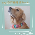 ⭐︎ suu1007様専用カート⭐︎他の方のご購入はお控えください