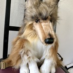 コリー犬のリュック