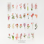 植物のイラストシール　30枚　flower shadow　[AX571]