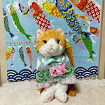 リアル鯉のぼりスタイ（S）グリーン