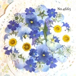 ♡new♡作家様必見♡押し花MIXセット♡押し花セット