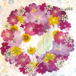 ♡new♡作家様必見♡押し花MIXセット♡押し花セット