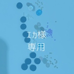 エカ様専用ページ