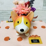 macha16様専用ページコーギー🐶フラワーピンク💕