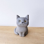 Treasure-うちの猫-uchinoko