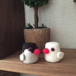 きょとん  文鳥さん