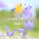 caramelさま専用ページ𖧷