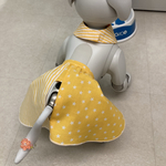 [Yellow] aiboちゃんのお星さまとストライプのギャザースカート