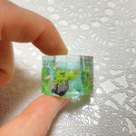 《再販》箱庭キューブ（メダカ）