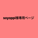 専用ページ
