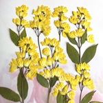ヒメウツギの押し花　黄色　💐