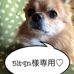 5ltqn様専用ページ♡