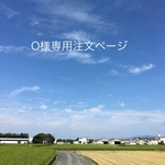 O様専用注文ページ・W60cm・低めシャビー背板・D35cm・H 30cm＊背板ぺたんと倒せる仕様(白)わんちゃん撮影用折り畳みベンチ