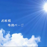 お客様専用ページ❣️
