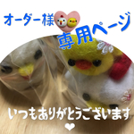 オーダー様専用ページです。
