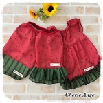 犬服　❁メッシュスイカ柄タンクトップ🍉ワンピース